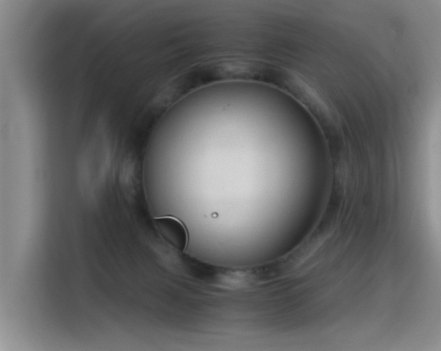 X0000115820079200911201454