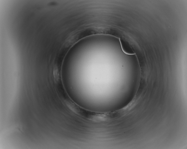 X0000115820086200911201454