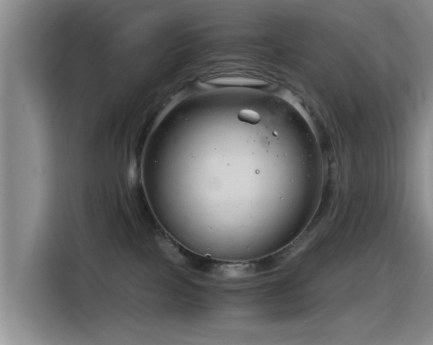 X0000115820089200911201454