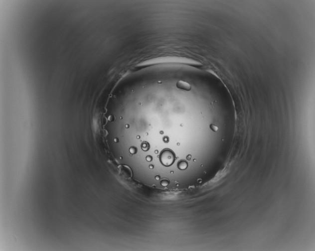 X0000115820090200911201454