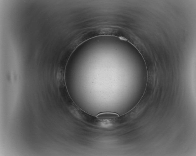 X0000115820091200911201454