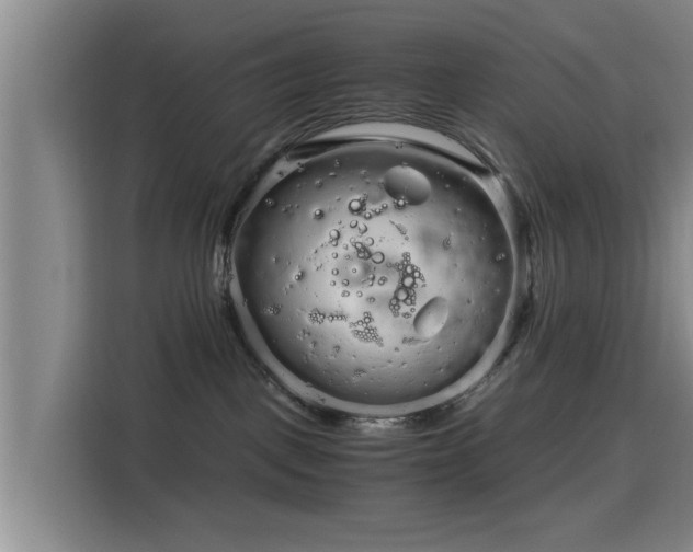 X0000115820093200911201454