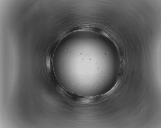 X0000115820094200911201454