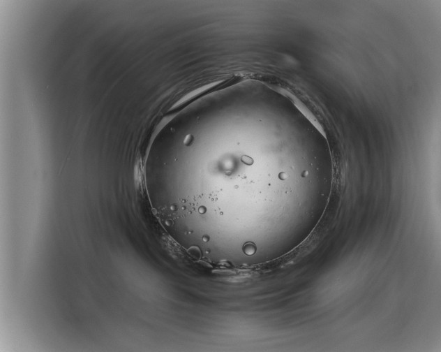 X0000115820095200911201454