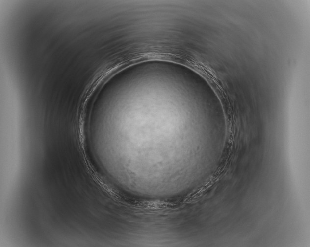 X0000115820098200911201453