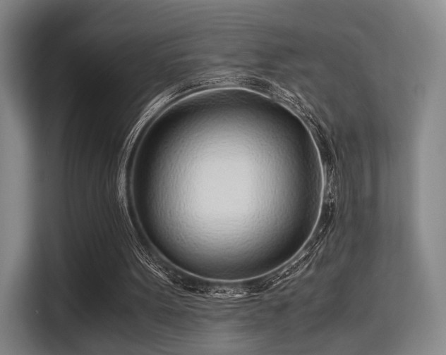 X0000115820099200911201453