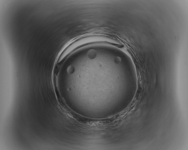 X0000115820100200911201453