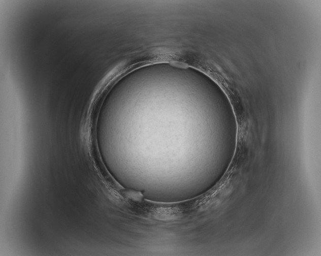 X0000115820101200911201453