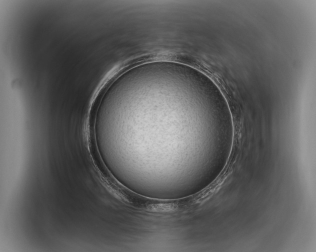 X0000115820102200911201453