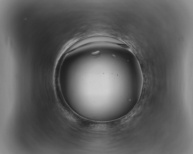 X0000115820104200911201453