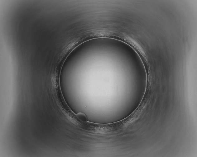 X0000115820105200911201453