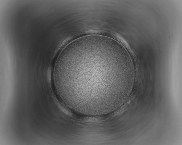 X0000115820106200911201453