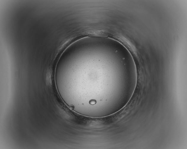 X0000115820107200911201453