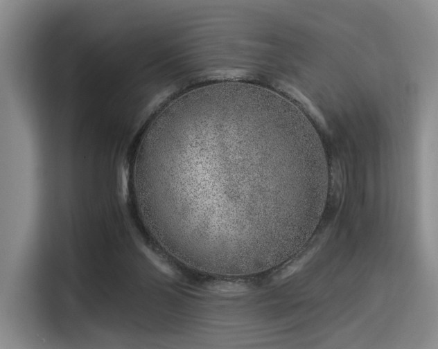 X0000115820110200911201453