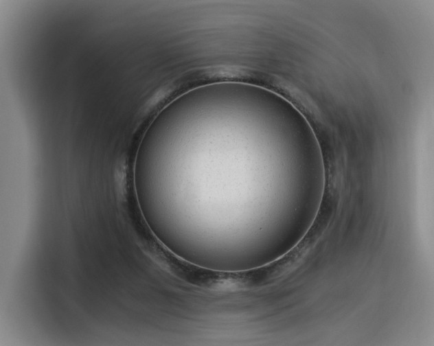 X0000115820111200911201453