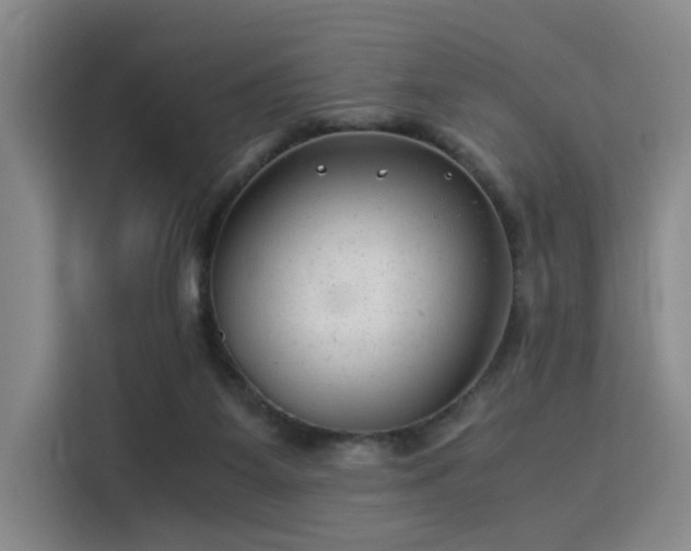 X0000115820115200911201453