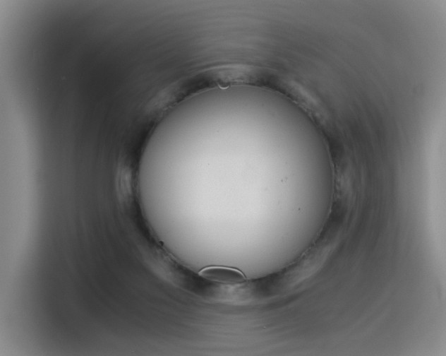 X0000115820117200911201453