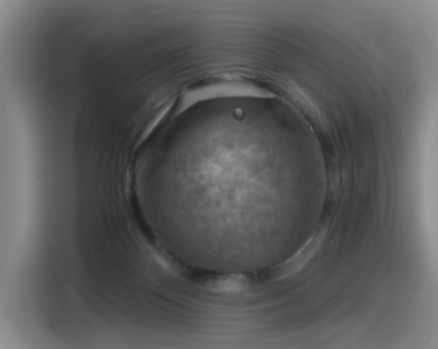 X0000115820124200911201453