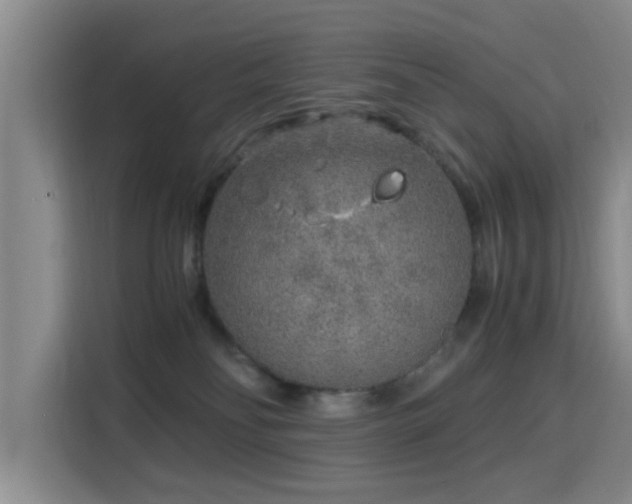 X0000115820134200911201453