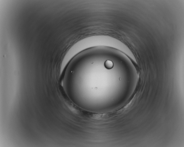 X0000115820136200911201453