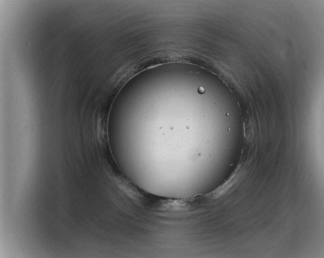 X0000115820140200911201453