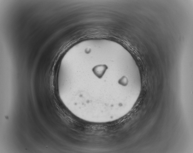 X0000115820146200911201452