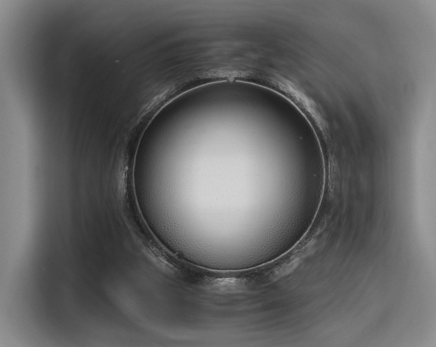 X0000115820153200911201452