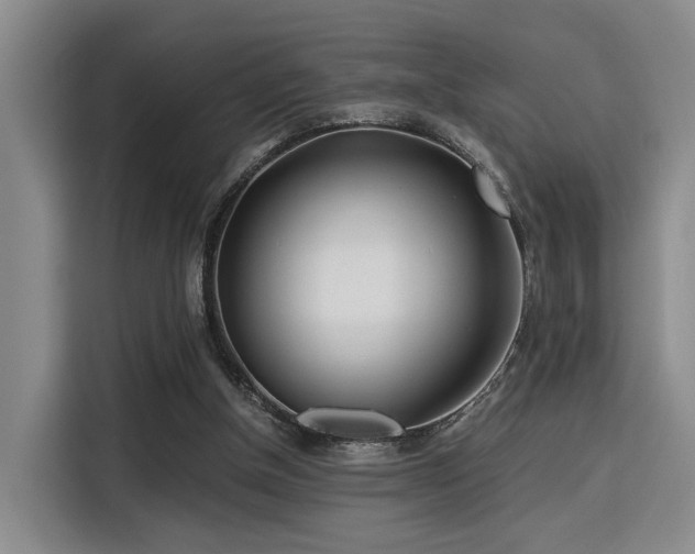 X0000115820154200911201452