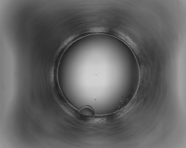 X0000115820155200911201452