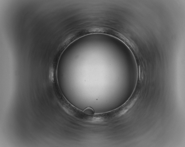 X0000115820157200911201452