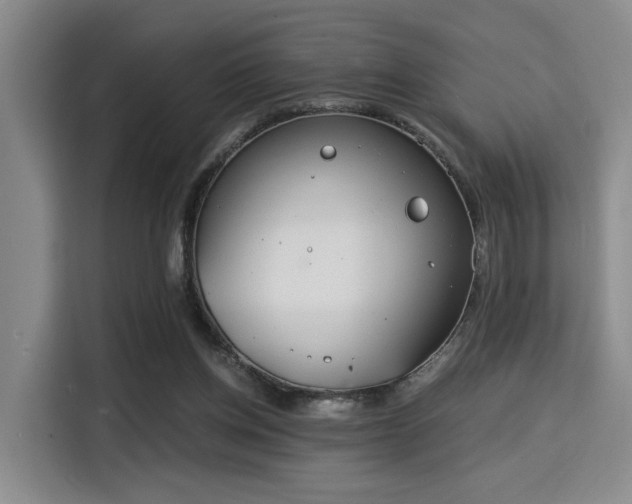 X0000115820158200911201452