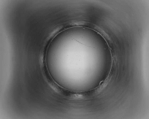 X0000115820159200911201452