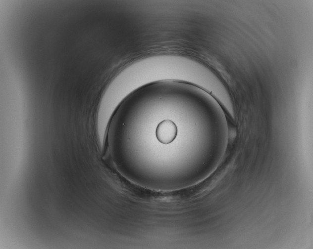 X0000115820161200911201452