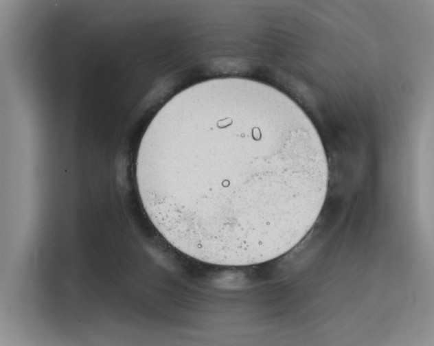 X0000115820162200911201452