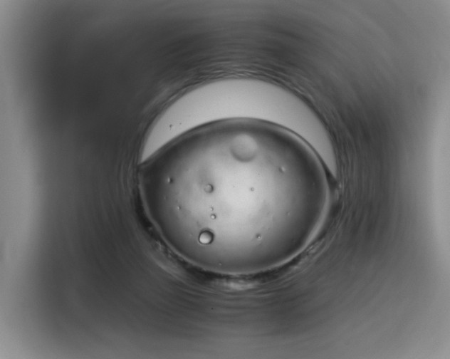 X0000115820165200911201452