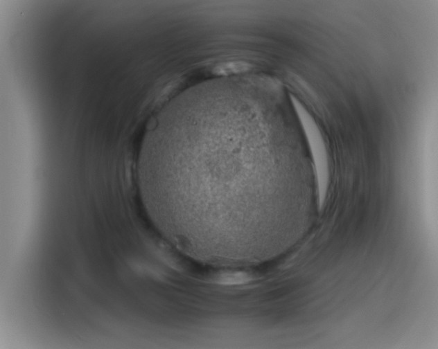 X0000115820169200911201452