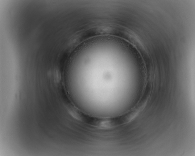 X0000115820173200911201452