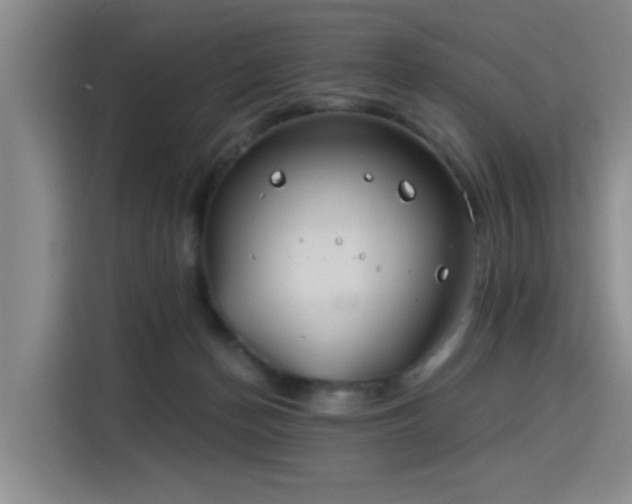 X0000115820174200911201452