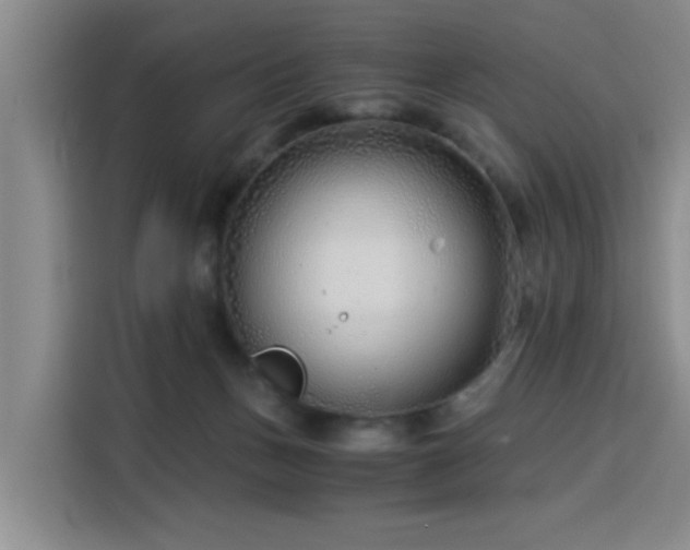 X0000115820175200911201452