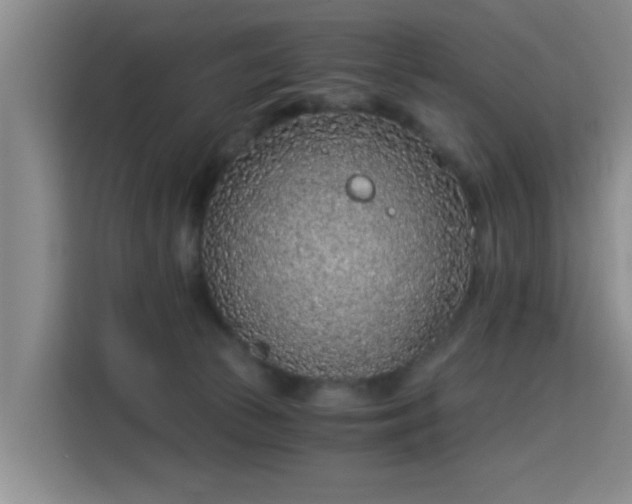 X0000115820177200911201452