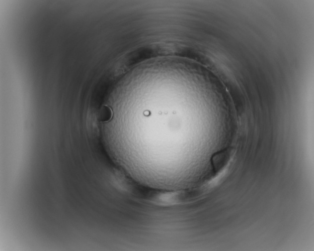 X0000115820178200911201452