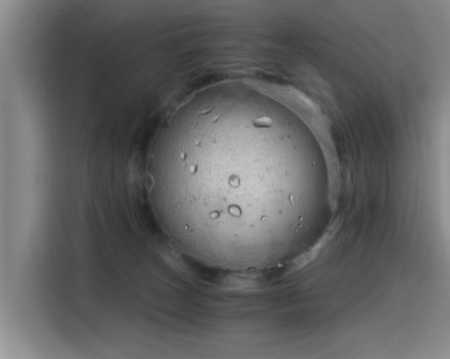 X0000115820179200911201452