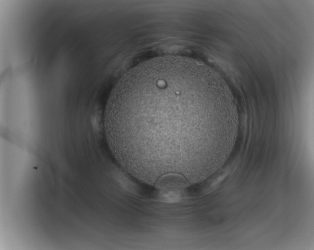 X0000115820181200911201452