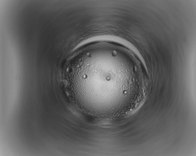 X0000115820182200911201452