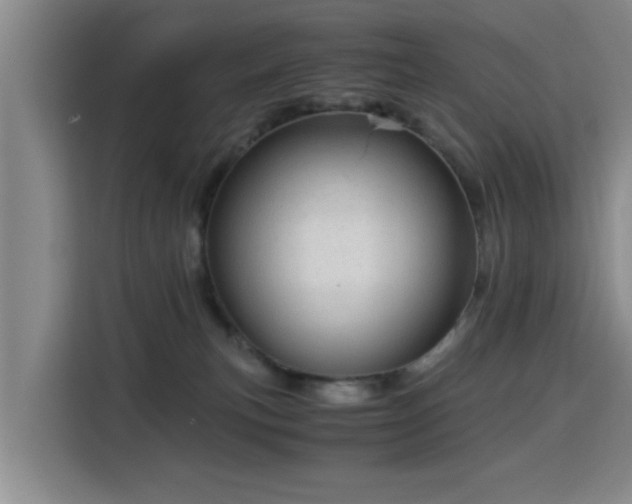 X0000115820183200911201452