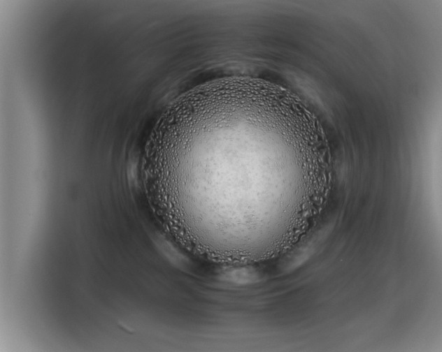 X0000115820185200911201452