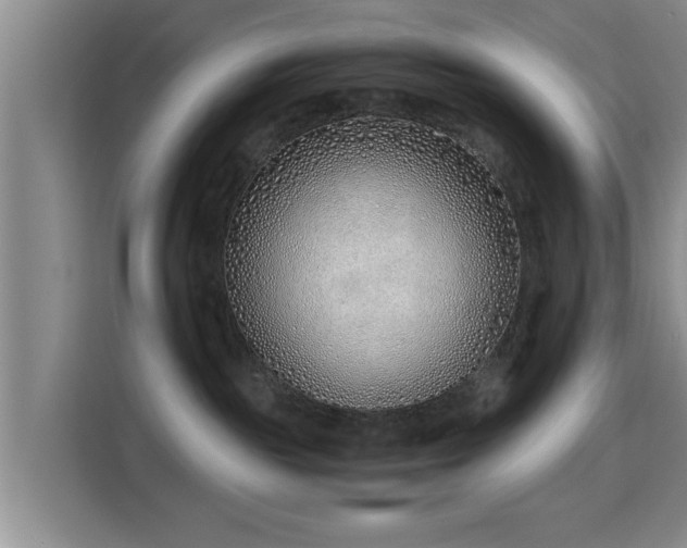 X0000115820189200911201453