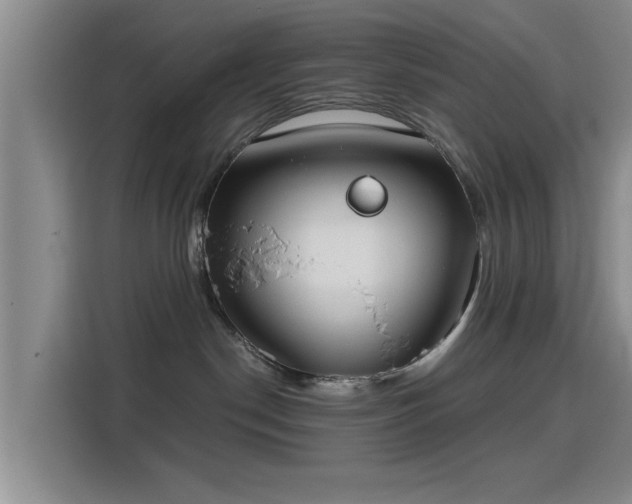 X0000115820190200911201453