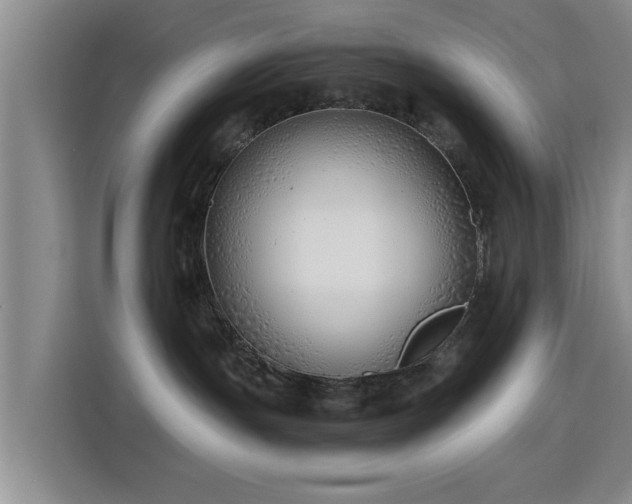 X0000115820191200911201453