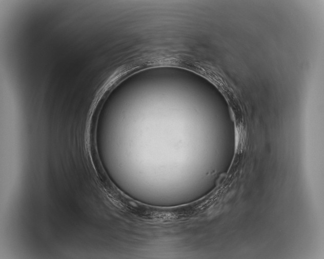 X0000115820195200911201452